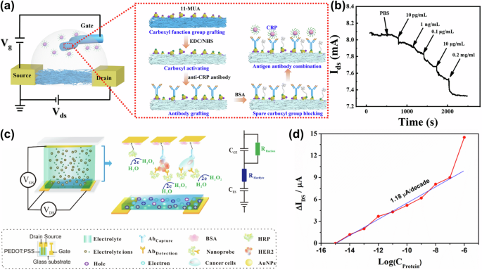 Fig. 16: OECT-based protein sensors.