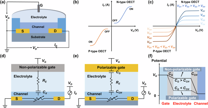 Fig. 1: Typical OECT structures, characteristics, and physical models.