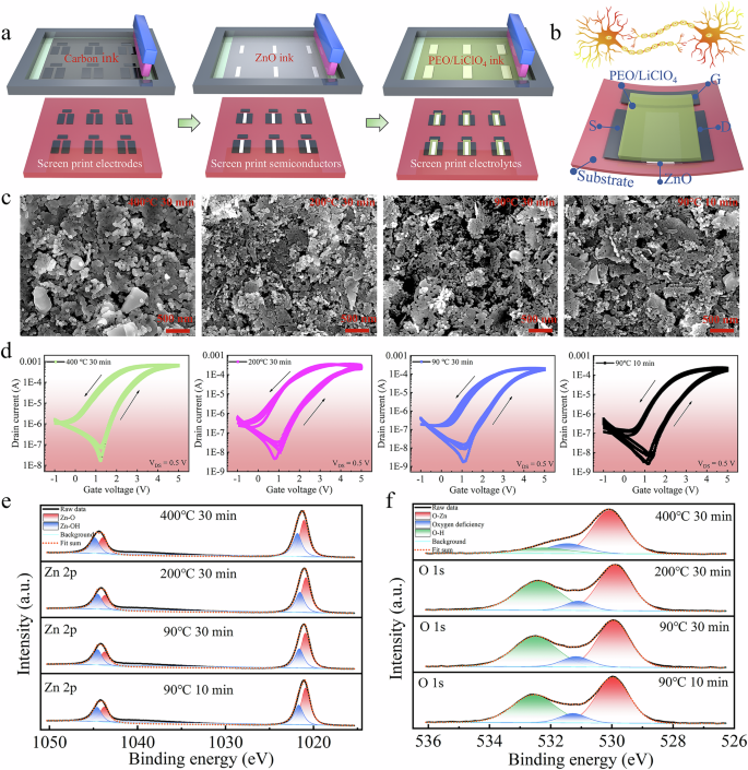 Fig. 1: Fabrication and characteristics of fully screen-printed ZnO TFTs.