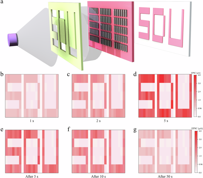Fig. 6: Image learning and memorization applications of the ZnO TFT arrays.