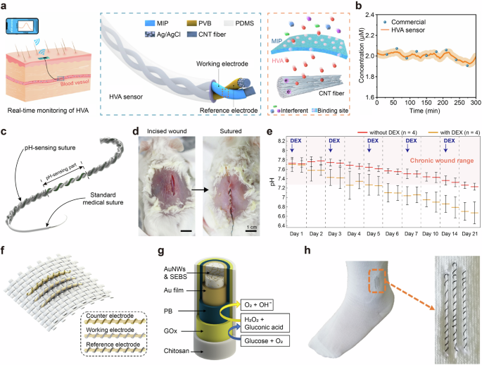 Fig. 6: Chemical sensors in biomedical applications.