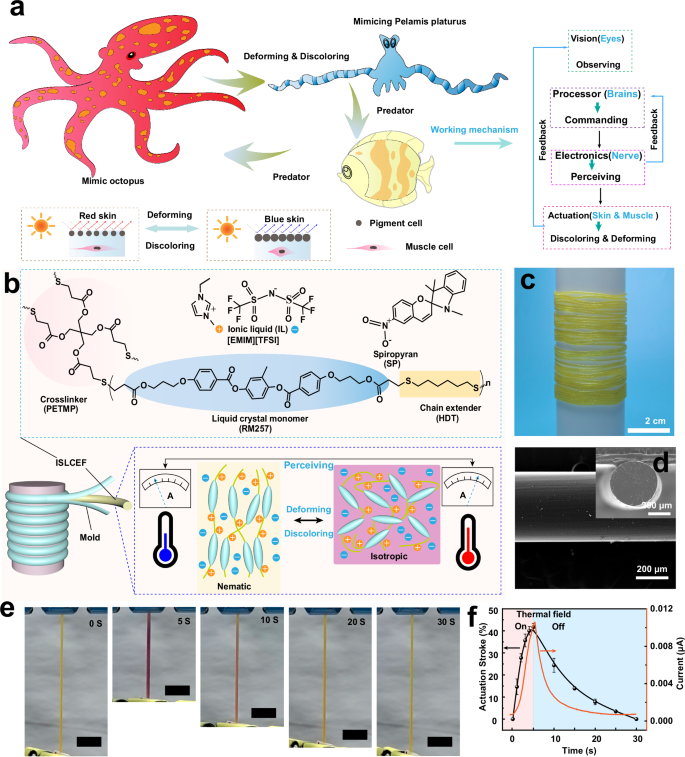 Fig. 1: ISLCEF design schematics.