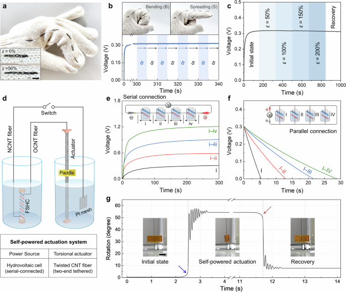 Fig. 4: Integration of the FSHC into a fabric glove and its application in a self-powered actuation system.