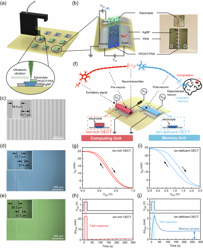 Fig. 1: Fabrication and characterization of the all-printed OECT.