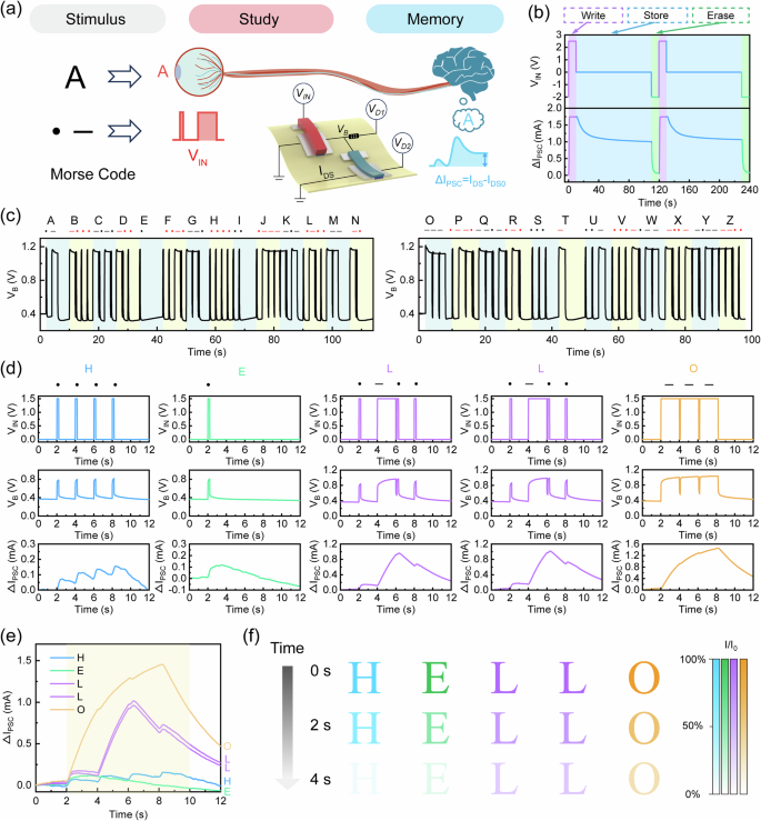 Fig. 5: Neuromorphic circuit for simulating human brain study and memory functionalities.
