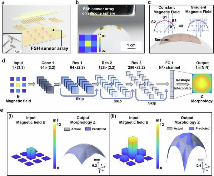 Fig. 4: FSH sensor arrays and deep learning models for tumor dimension analysis.