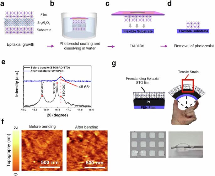 Fig. 2: Fabrication and mechanical stability of freestanding epitaxial SrTiO₃ membranes on flexible PEN substrates.