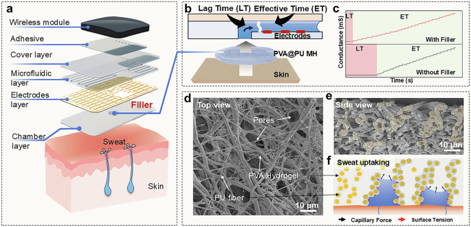 Fig. 1: Schematic of rapid sweat uptaking and hydration monitoring with directional permeation-driven MH.
