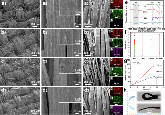 Fig. 3: Characterization of morphology and mechanical properties of carbonized jute fabric.