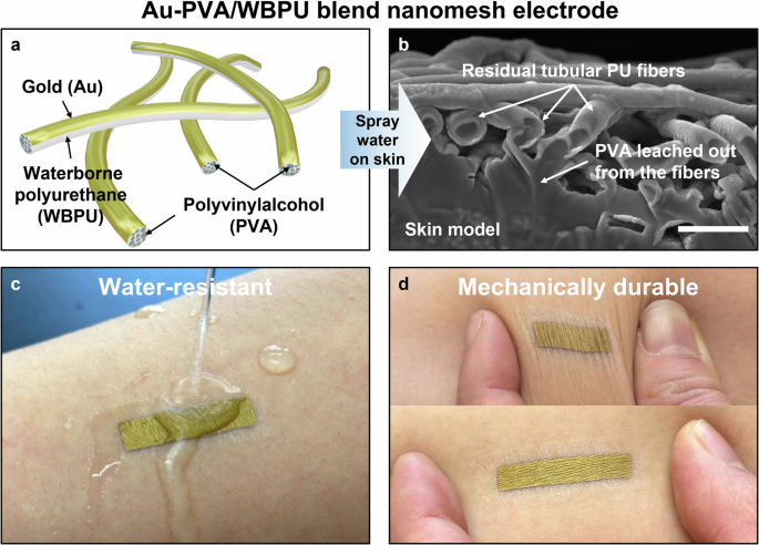 Fig. 1: Au–PVA/WBPU blend nanomesh electrode and its application on skin.