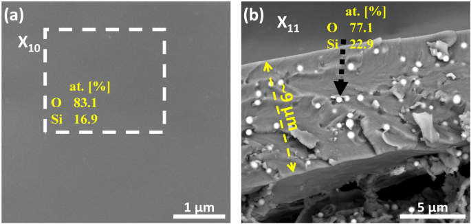 Fig. 5: SEM images of PEHA-SS-coated AlSi7Mg0.3 samples.