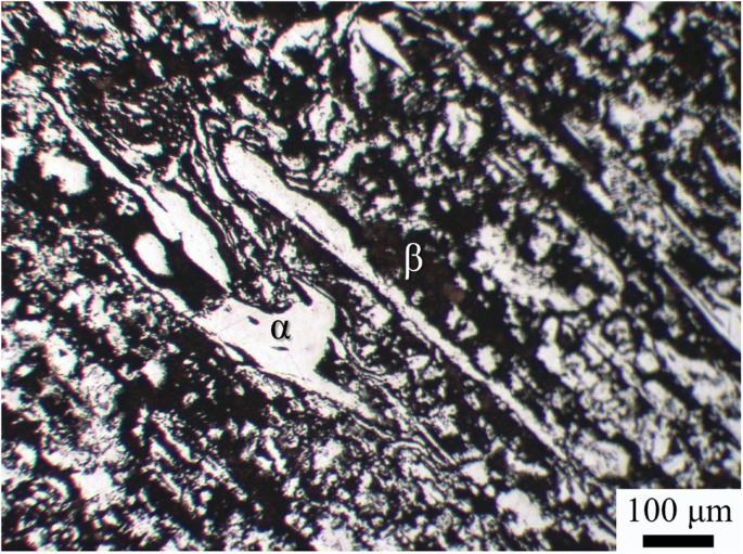 Localized corrosion behavior and surface corrosion film microstructure of a commercial dual-phase LZ91 Mg alloy Localized corrosion behavior and surface corrosion film microstructure of a commercial dual-phase LZ91 Mg alloy