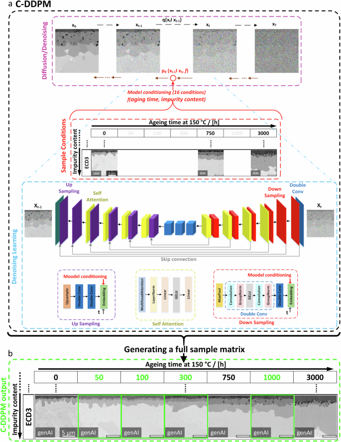 Schematic structure, model conditioning and exemplary images from the noising/denoising sequence of the developed C-DDPM.