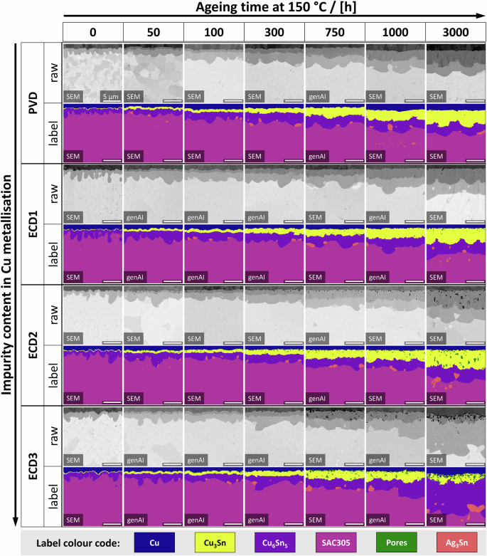 Complete sample matrix of real FESEM-BSE micrographs, filled up with virtually generated images of the Cu – SAC305 interfacial microstructures for the unknown conditions by the C-DDPM, as well as corresponding phase-labels.