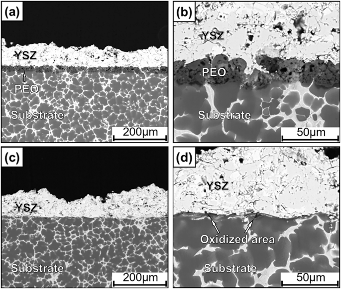 Fig. 3: Cross-sectional morphologies of YSZ/ PEO/ Mg and YSZ/ Mg samples after cyclical oxidation at 200 °C for 100 h.