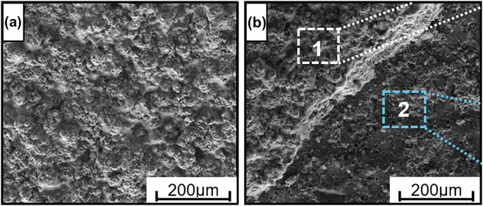 Fig. 4: Surface morphologies of YSZ/PEO/Mg and YSZ/Mg samples after cyclical oxidation at 400 °C for 100 min.