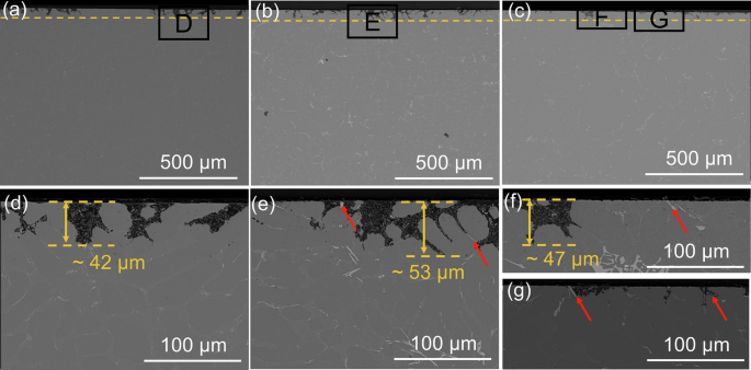 Fig. 4: SEM images of alloy A, alloy B, and alloy C after potentiodynamic polarization test.