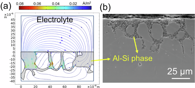 Fig. 8: Simulated cross-section of corrosion propagation, including electrolyte potential field lines and current densities after virtual 365 days. The final morphology after polarization for alloy A is also shown.