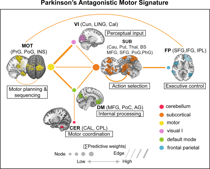 Fig. 6: Parkinson’s antagonistic motor signature (PAMS): a functional connectivity biomarker of motor dysfunction in PD.