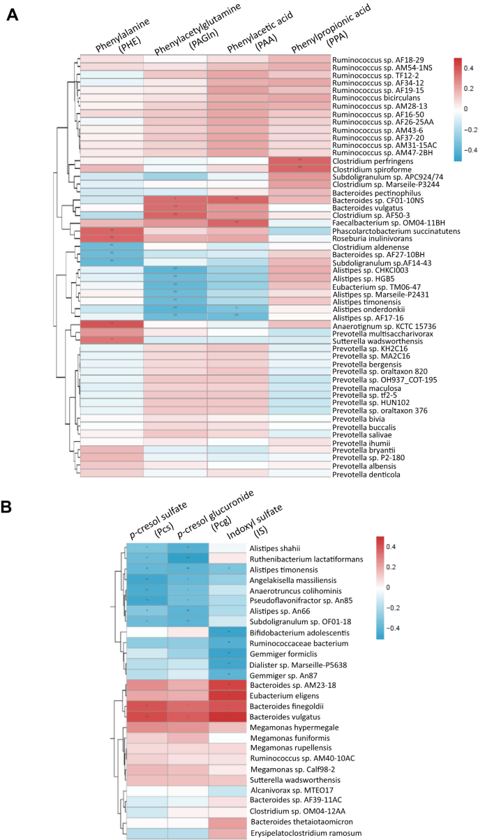 Fig. 3: Heat-maps display the results of Spearman’s rank correlations test of the associations between microbial metabolites and the relative abundance of colonic bacteria.