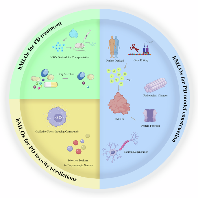 parkinson glutathione oxidative ipsc crispr stress monitoring in iPSC-derived motor neurons using genetically encoded biosensors of H2O2 The Mitochondrial Interactome in Parkinson's