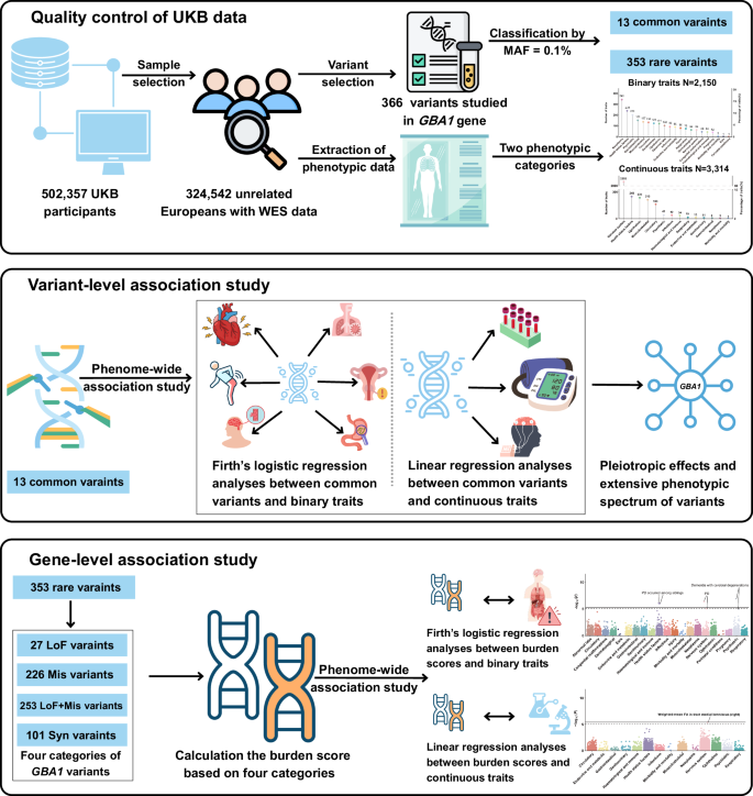 Fig. 1: Flow diagram outlining the process for analysis of GBA1 variants with multiple phenotypes.