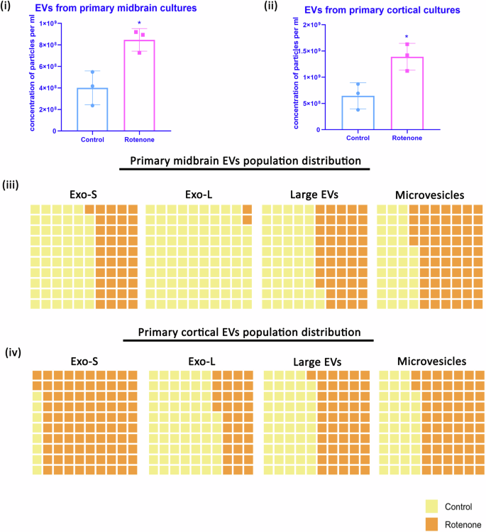 Fig. 2: EV release is enhanced in primary neuronal cultures on the treatment of the PD-stress inducer rotenone.