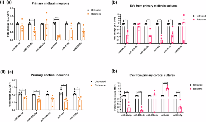 Fig. 4: EV-miRNA levels are altered in primary neuronal cells and EVs on treatment with rotenone.