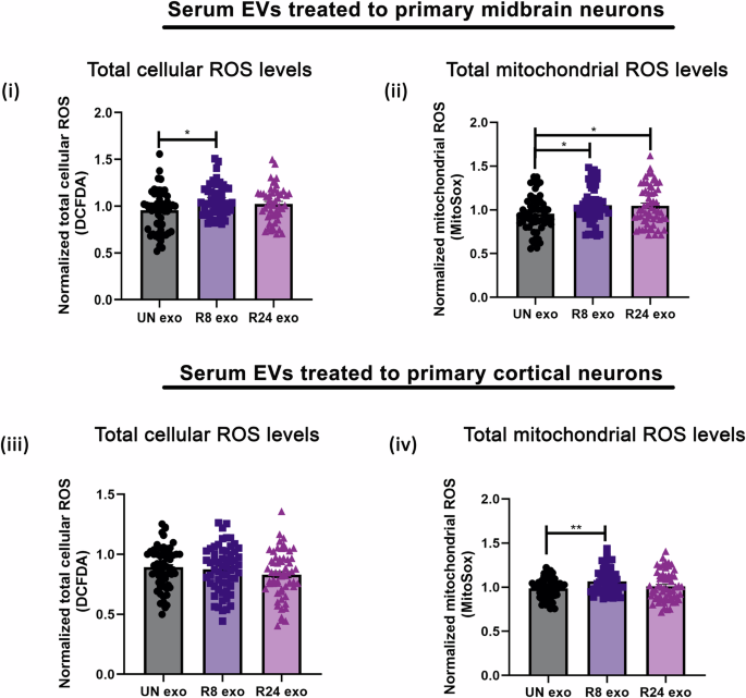 Fig. 6: Serum EVs alter mitochondrial functions in primary rat cortical and midbrain neurons.