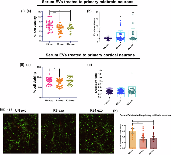 Fig. 7: Serum EVs from acute rotenone-treated rat models of PD decrease the cell viability of primary rat cortical and midbrain neurons.