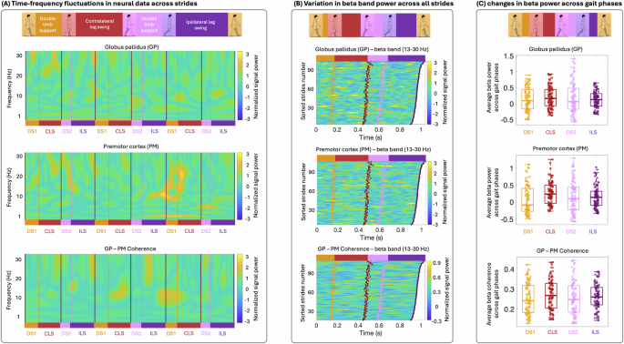 Fig. 4: Neural data analysis and feature extraction.