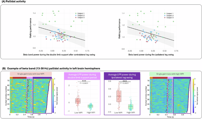 Fig. 5: Correlation analysis of neural signal characteristics and walking performance.
