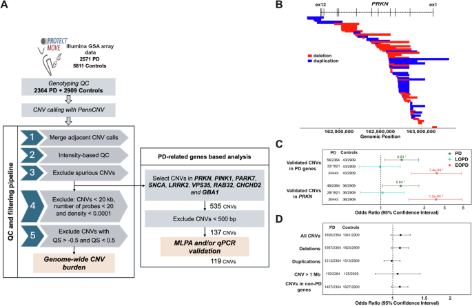 Fig. 1: Overview of study design and CNV burden analyses in Parkinson’s disease.