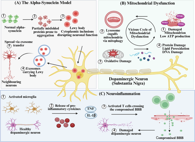 glutathione ms negative mode mass Study on Chemical Modifications of Glutathione by Cold Atmospheric Pressure  Plasma (Cap) Operated in Air in the Presence of Fe(II) and Fe(III)  Complexes