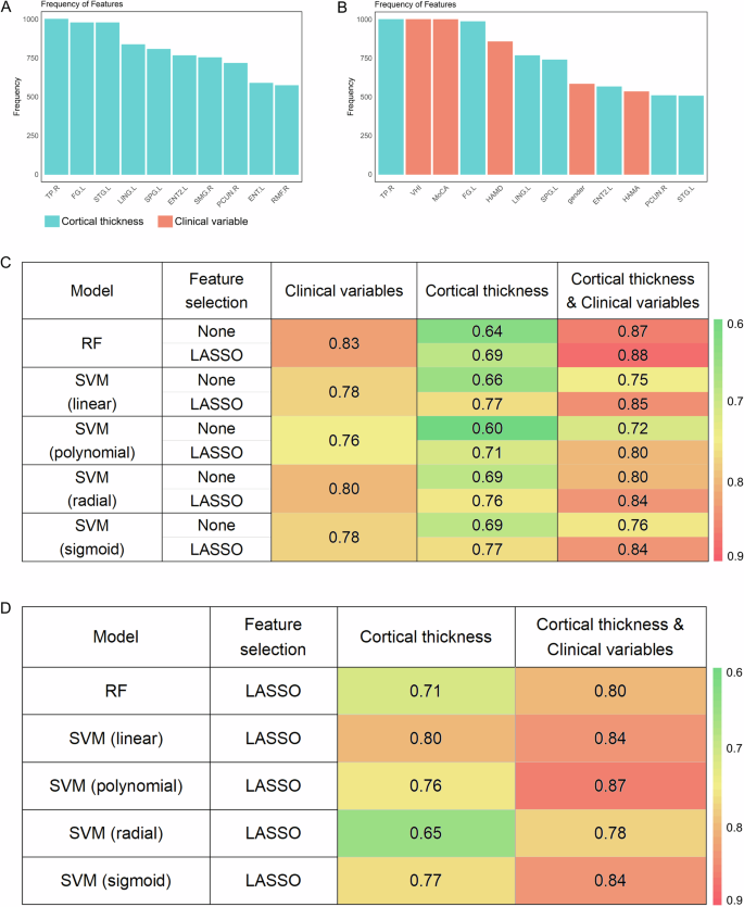 Fig. 5: Artificial intelligence classification model based on brain morphology and clinical features.