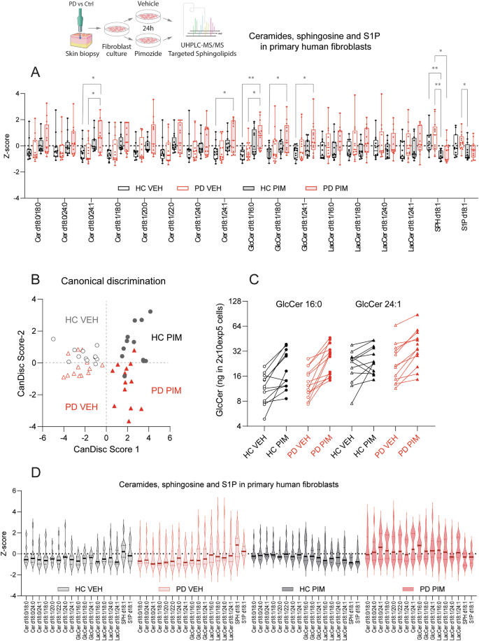 Fig. 2: Ceramides and hexosylceramides in PD and HC primary fibroblasts upon stimulation with pimozide.