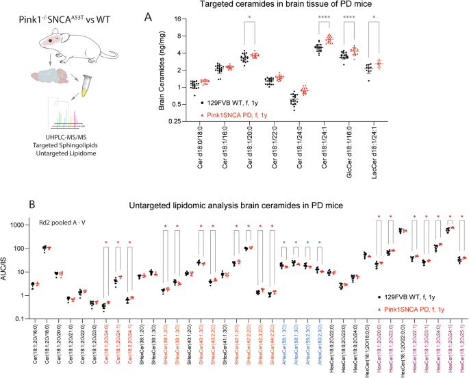 Fig. 3: Ceramides and hexosylceramides in PD mouse brain.