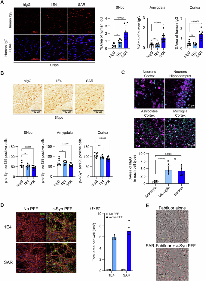 Fig. 5: Short-term efficacy study of SAR446159.
