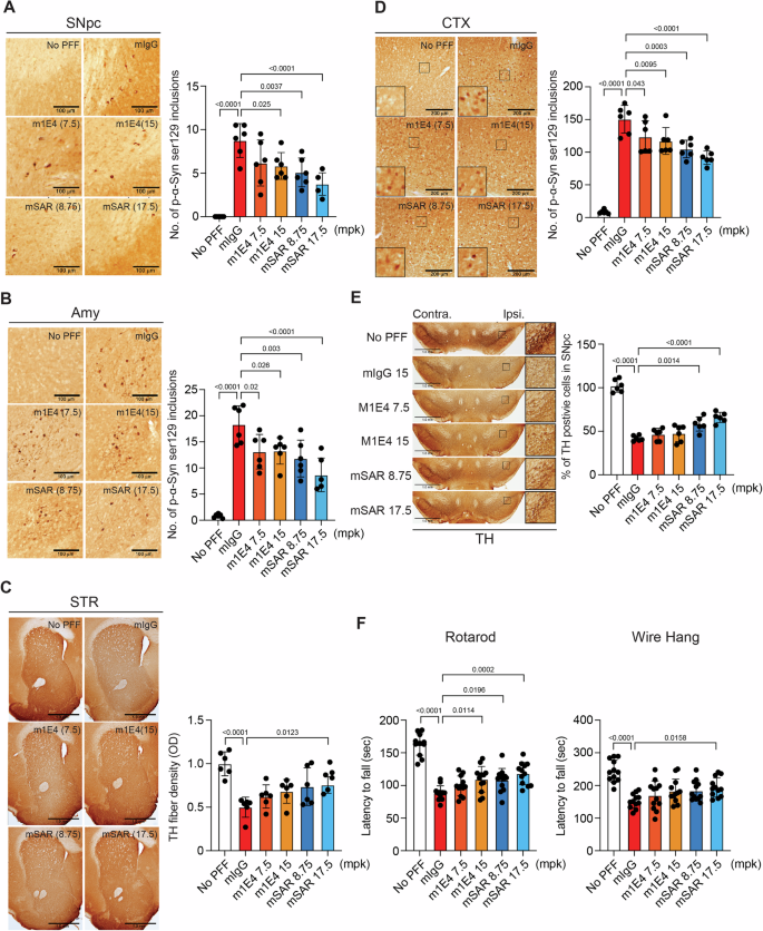 Fig. 6: Long-term efficacy study of SAR446159.