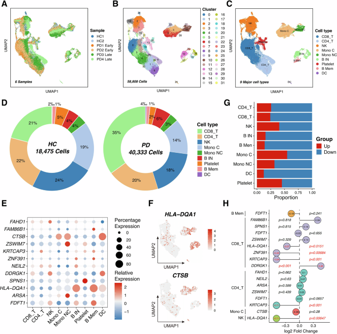 Fig. 5: Single-cell transcriptomic profiling of peripheral blood immune cells from HC and PD patients.