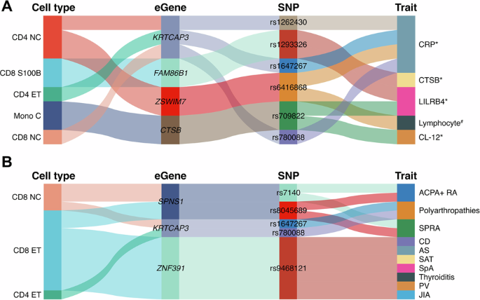 Fig. 7: Immune-related trait associations identified by SNP-level PheWAS in Open Targets Platform and FinnGen.