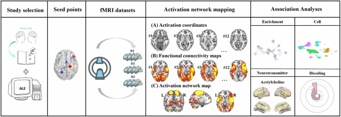 Fig. 1: A schematic overview of the study design pipeline.