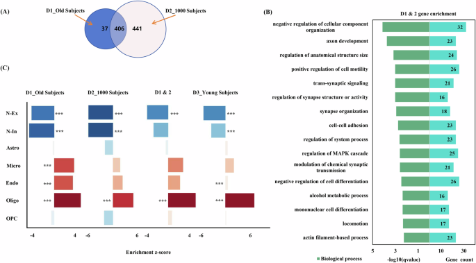 Fig. 4: The transcriptomic architectures of the fatigue-related network in PD.