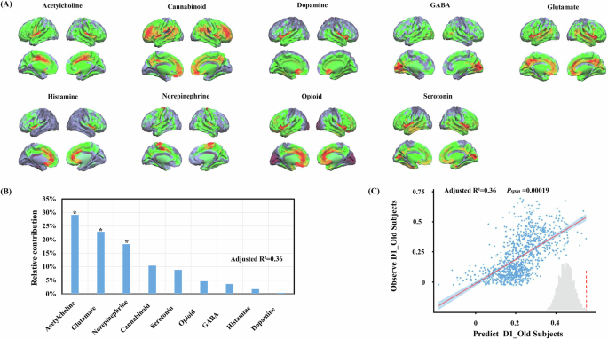 Fig. 5: The chemoarchitectures of the fatigue-related network in PD from the D1_Old Subjects dataset.