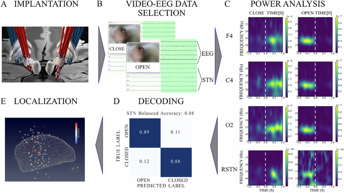 Fig. 1: Flowchart of the study.