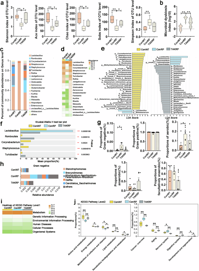 Fig. 8: Effects of TLR4 inhibitor on intestinal microbial community composition and function in LRRK2R1627P rats.