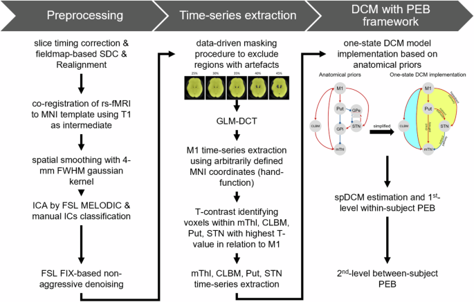 Fig. 4: The pipeline of rs-fMRI data preprocessing and dynamic causal modeling (DCM) analysis.