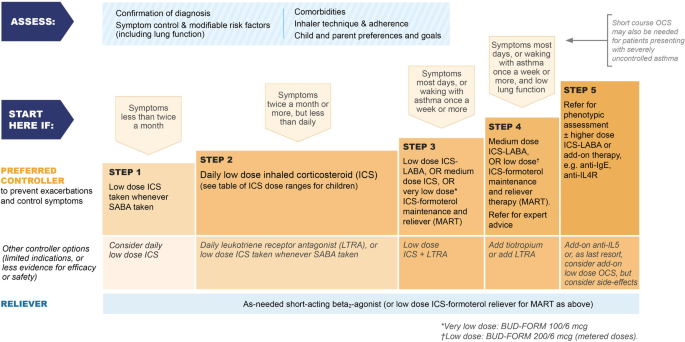 Key recommendations for primary care from the 2022 Global ...
