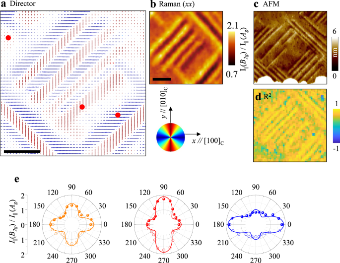Raman Imaging Of Ferroelastically Configurable Jahn Teller Domains In Lamno3 Npj Quantum Materials Raman Imaging Of Ferroelastically Configurable Jahn Teller Domains In Lamno3 Npj Quantum Materials