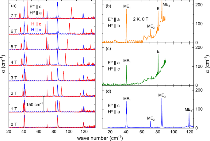 Fig. 3: THz absorption spectra in zero and finite magnetic fields.